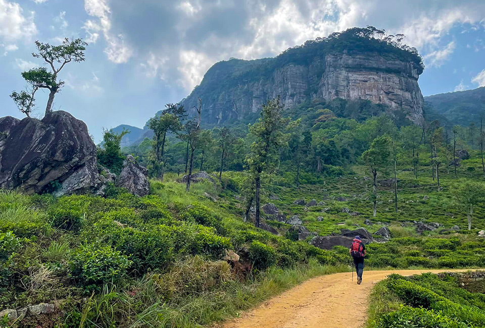 Healing Through Hiking Extreme Expeditions In Sri Lanka Sri Lanka Travel Blog